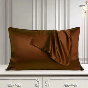 Pair of Satin Pillow Cover – Brown